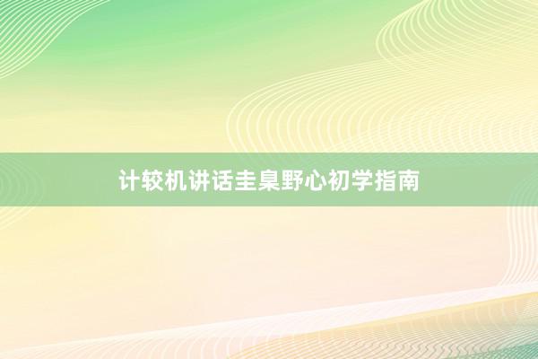 计较机讲话圭臬野心初学指南