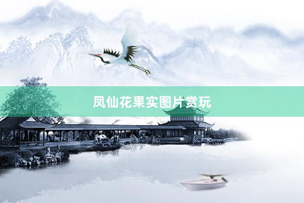 凤仙花果实图片赏玩