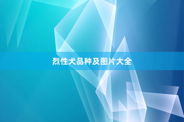 烈性犬品种及图片大全