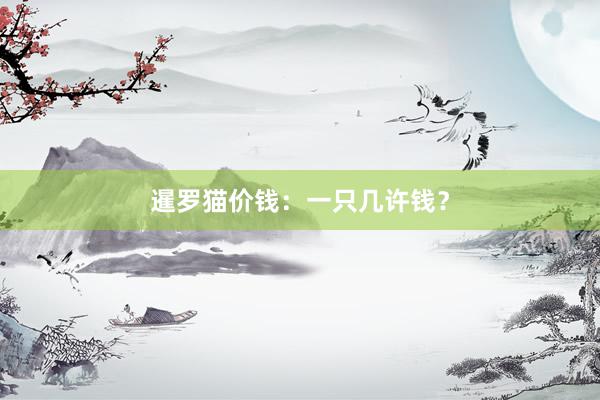 暹罗猫价钱：一只几许钱？